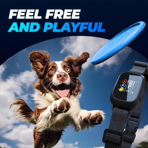 2024 Automatic Bark Collar with 5 Adjustable Sensitivity Levels - Rechargeable Waterproof for Large Medium Dogs