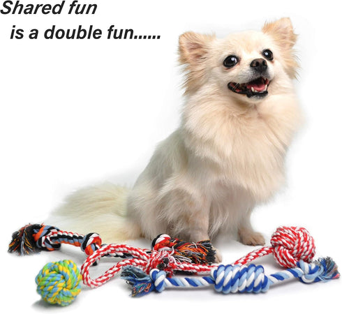 Fida Dog Rope Toys 4 Pack, Sturdy Cotton Chew Tug Ropes for Indoor/Outdoor, Interactive Tug o'war Toys for Small Dogs