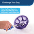 PetSafe Busy Buddy Kibble Nibble Dog Toy - Treat and Food Dispenser - Small Slow Feeder