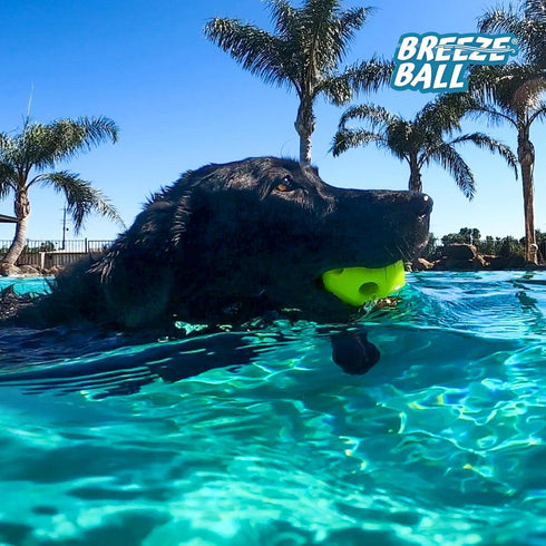 (1 Count, 3, Multipet Breeze Balls for Dog - Bevel Tech Interactive Dog Toy w/Holes for Breathing - Flotable Ball