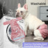 Dogs,4 Pack JoyDaog Female Dog Diapers for Small Reusable Washable Premium Puppy Diapers for Heat,Incontinence,Period