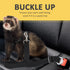SunGrow Dog Seat Belt for Car - Adjustable Nylon Pet Seatbelt, Supports All Cars, for Dogs, Cats & Ferrets