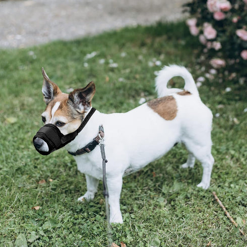 YAODHAOD Nylon Mesh Breathable Dog Mouth Cover, Quick Fit Dog Muzzle with Adjustable Straps to Prevent Biting (M, Black)