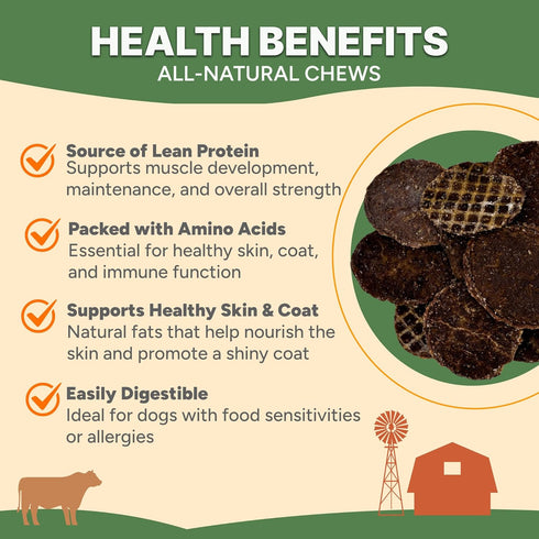 6 oz, Gaines Family Farmstead Beef Chips for Dogs Natural Single-Ingredient Dog Treats, High-Protein Rawhide-Free