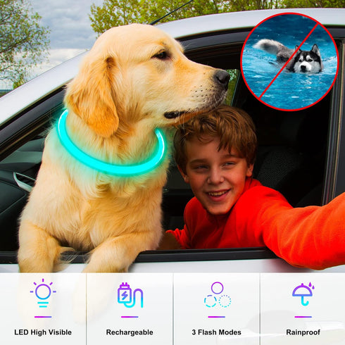 Light Up Dog Collars, USB Rechargeable Dlitk LED Dog Collar, Glow Collar for Large Medium Small Dogs (Cyan)
