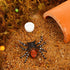 8 Pcs Mini Dish Water Bowl for Tarantula Spider, Scorpion, Cricket, Snail, Manti, Millipede, Tiny Bugs (White)