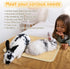 2Pcs (15.7x11.8 Bunny Scratch Pads, Sisal Rabbit Scratching Pad,Natural Cat Resting Mats for Cages,Guinea Pig Bed