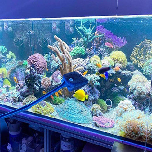 3 PCS Double-Sided AOODOOM Aquarium Fish Tank Algae Cleaning Brush - Non-Slip Handle Sponge Scrubber