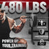 Yes4All 480LB Standard Straight Barbell 60" & EZ Curl Bar 47" - Weight Bar with Star Lock Collars