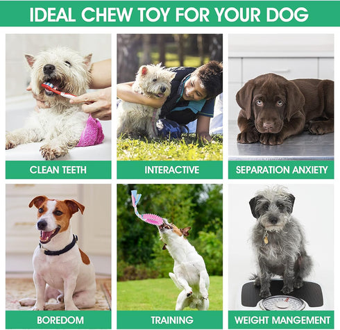 Puppy Teething Chew Toys, 4 Pcs with Interactive Cotton Ropes for Small Dogs, Rubber Chew Toys for Oral Teeth Soothe