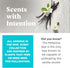 Soothing Vanilla Scented Hive Dog Fetch Stick - Durable Treat Dispenser Toy for Large Breeds, Floats in Water
