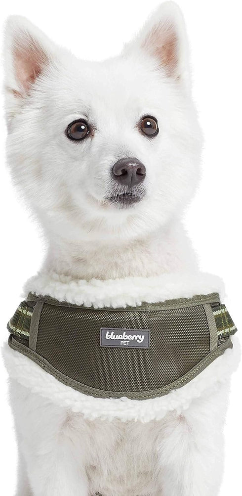Blueberry Pet Adjustable No Pull Training Dog Harness, Olive Green, Small, Chest Girth 16.5" - 21", Multi-Colored
