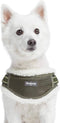 Blueberry Pet Adjustable No Pull Training Dog Harness, Olive Green, Small, Chest Girth 16.5" - 21", Multi-Colored