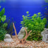 Mipcase 3 Pcs Driftwood for Aquarium, Spider Wood Decorations for Fish Tank and Reptile Decor