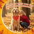 72 Sanwuta Pcs Thanksgiving Dog Bandana Bulk Washable Puppy Triangle Scarfs Thanksgiving Cat Bandanas Adjustable Soft