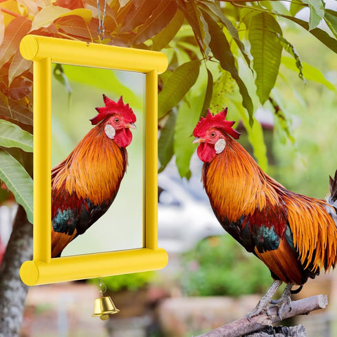 10.6 10 Inch (1pcs, Sadnyy Chicken Mirror Toys Extra Large x Big Hanging Swing Mirror with Bell Wooden Pecking Toy