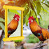 10.6 10 Inch (1pcs, Sadnyy Chicken Mirror Toys Extra Large x Big Hanging Swing Mirror with Bell Wooden Pecking Toy