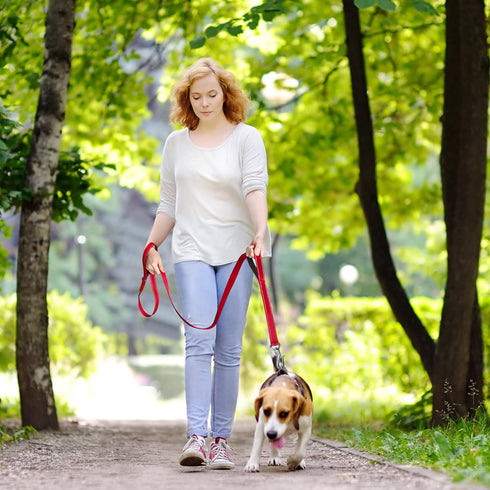 Fida 6 FT Heavy Duty Dog Leash with 2 Padded Handles, Traffic Handle & Easy Snap Hook, Reflective Walking Lead