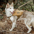 OneTigris Y-Shaped Dog Backpack - No Pull CAMLUS Dog Saddle Bag for Hiking Gear, Lightweight Dog Pack