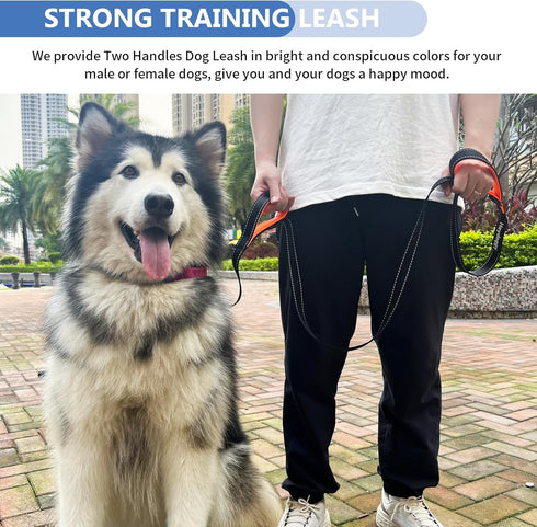 Strong Heavy Duty Dog Leash, 6ft Reflective Nylon Training Leash with Soft Padded Double Handle for Large, Medium,