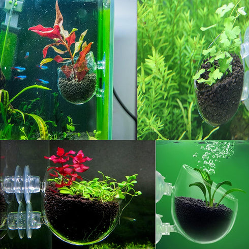Tfwadmx Plant Pot Aquarium Decor, Aquatic Plant Cup with 2 Suction Cups for Fish Tank Aquascape, 2 Pack