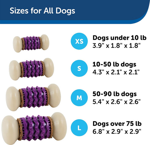 PetSafe Busy Buddy Nobbly Nubbly Treat Holding Dog Toy - Strong Chewers, Small, Multi Color, Treat Rings Included