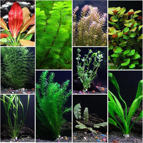 Aquarium Plant Weights Anchors, 30Pcs Metal Anchors, 2.75 Inch Bendable Cuttable Weights for Live Plants