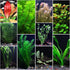 Aquarium Plant Weights Anchors, 30Pcs Metal Anchors, 2.75 Inch Bendable Cuttable Weights for Live Plants