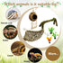 6 Hammock PCS Hermit Crab Accessories Large Bendable Moss Hermit Crab Climbing Toys Coconut Shell Hut with Ladder