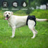 Washable Female Dog Diapers, Puppy Diapers for Dog Period Reusable Doggie Diapers, Highly Absorbent Dog Heat Panties