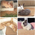 16 12 Inch 2Pcs) Rabbit Scratching Pad, x Natural Sisal Bunny Scratch Mat Scratcher Mats Claws and Teeth Care