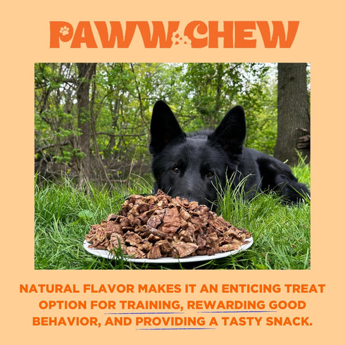 100% (1 PAWW CHEW Beef Lung Dog Treats - Natural, Single Ingredient, Pound) Made in the USA, Dried & Dehydrated, High