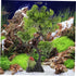 Decor Bonsai Tree Fake Model for Fish Tank - Fish Tank Supplies and Accessories, Plastic Aquarium Tree