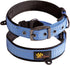 ADITYNA Ultra Comfortable Soft Neoprene Padded Dog Collar for Extra-Small Dogs