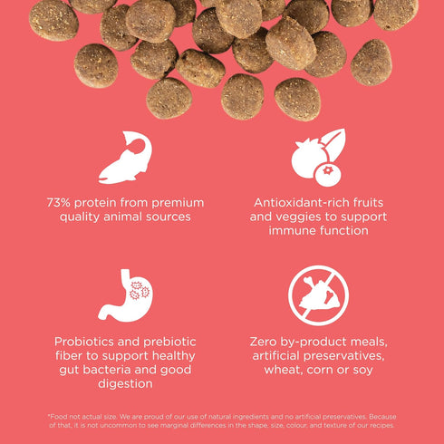 GO! SOLUTIONS Carnivore Protein Rich Dry Dog Food - Grain Free Salmon and Cod Recipe, 3.5 lbs