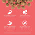 GO! SOLUTIONS Carnivore Protein Rich Dry Dog Food - Grain Free Salmon and Cod Recipe, 3.5 lbs