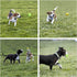 Youngever Dog Rope Toys, Puppy Chew Toys for Medium to Large Dogs (4 Pack)