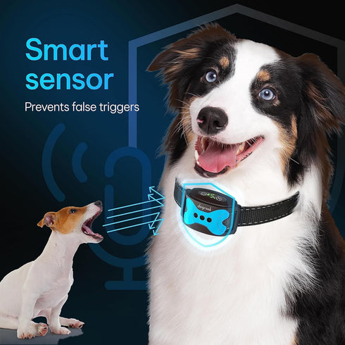 DogRook Smart Dog Bark Collar, No Shock Training Collar with Beep & Vibration, Rechargeable for All Dog Sizes