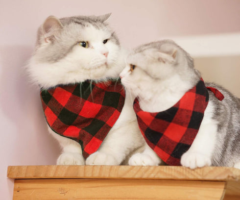 Pohshido 2 Pack Dog Cat Buffalo Plaid Bandanas, Checkered Red Flannel Triangle Bibs for Pets (Large)