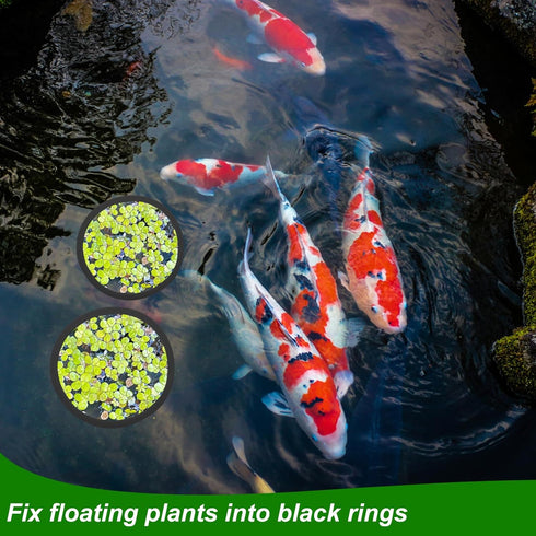 5pcs Aquarium Floating Plant Rings, Foam Floating Plant Corral, Fish Feeding Rings for Keeping Plants in Place (Black)