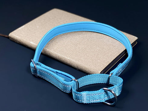 Martingale Dog Collars, Adjustable Soft Nylon Training Collar, Reflective Safety Heavy Duty No Pull Pet Collars for