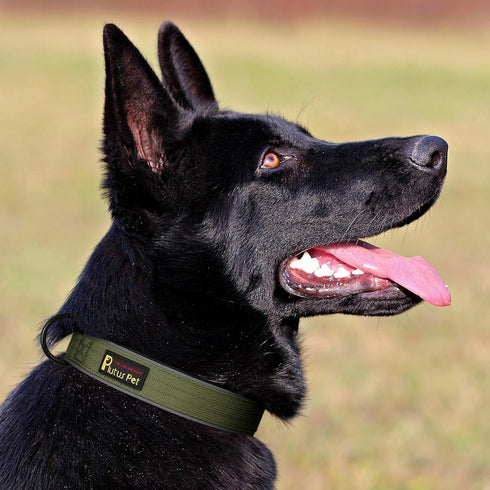 Plutus Pet Tactical Dog Collar, Reflective Adjustable Heavy Duty Collar, Soft Padded for Small Medium Large Dogs