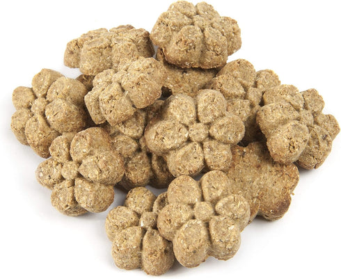 Fruitables Baked Pumpkin Dog Treats – Healthy Low Calorie Treats – Wheat, Corn & Soy Free, 7 oz (Pack of 10)