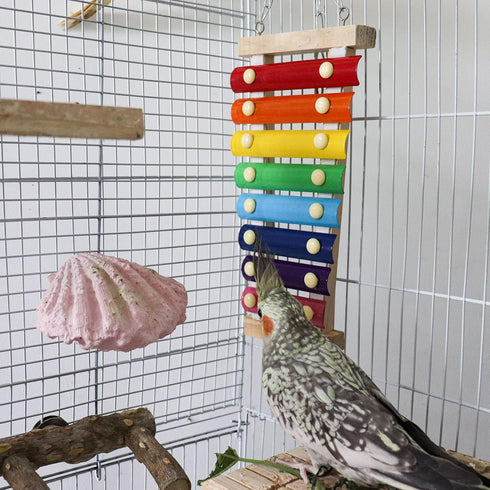 8 Dnoifne Colorful Bird Xylophone Toy, Suspensible Funny Xylophone Toy with Metal Keys, Cage Accessories for Chicken