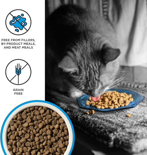3lb Liberty Dry Food Salmon Recipe for Cats
