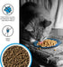 3lb Liberty Dry Food Salmon Recipe for Cats