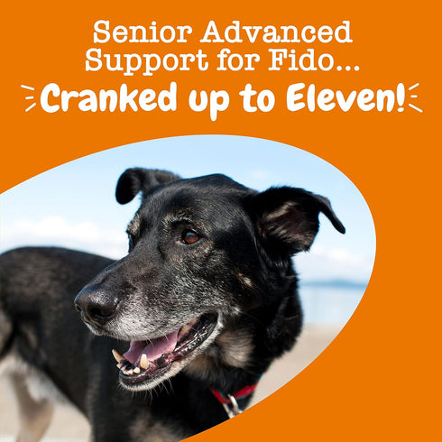 Zesty Paws Senior Dog Multivitamin Treats, 90ct, for Skin & Coat, Immune Health, Glucosamine