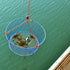 24 20 12 Palmyth Wire Grid Bottom Crab Nets Two Ring Crab Kit with Harness and Bait Clip X X