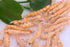 Premium Freeze-Dried Krill & Shrimp Mix - High-Protein Floating Aquarium Food for Arowana, Koi, Cichlids (2000ml)