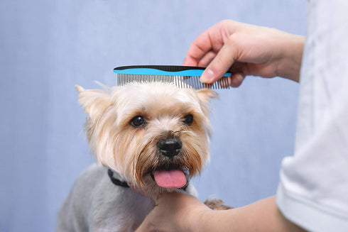 Pets First 2 Pack Dog Comb, Small & Large Comb for Breeds with Anti-Slip Comfort Grip Ergonomic Handle